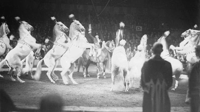 Vintage Circus Photos (6)